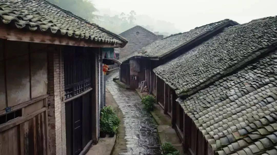 悬案：刹那惊颤